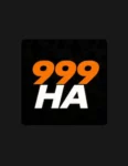 999HA Game