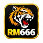 RM666 Game