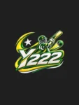 Y222 Game
