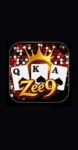 Zee9 Game